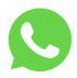 WhatsApp Icon